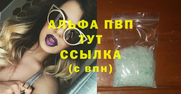 PSILOCYBIN Магас