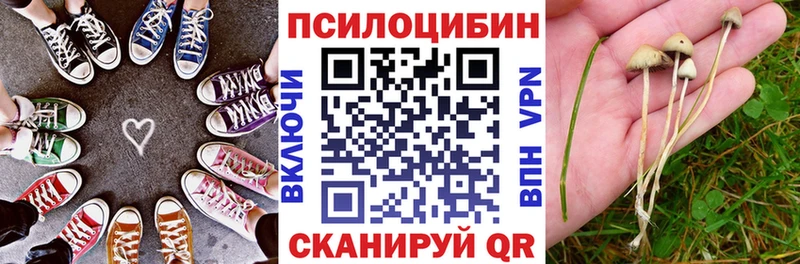 MEGA вход  Сорск  Галлюциногенные грибы мицелий 